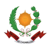 CHORRILLOS insignia